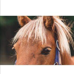 Meet your Posher, Chloe